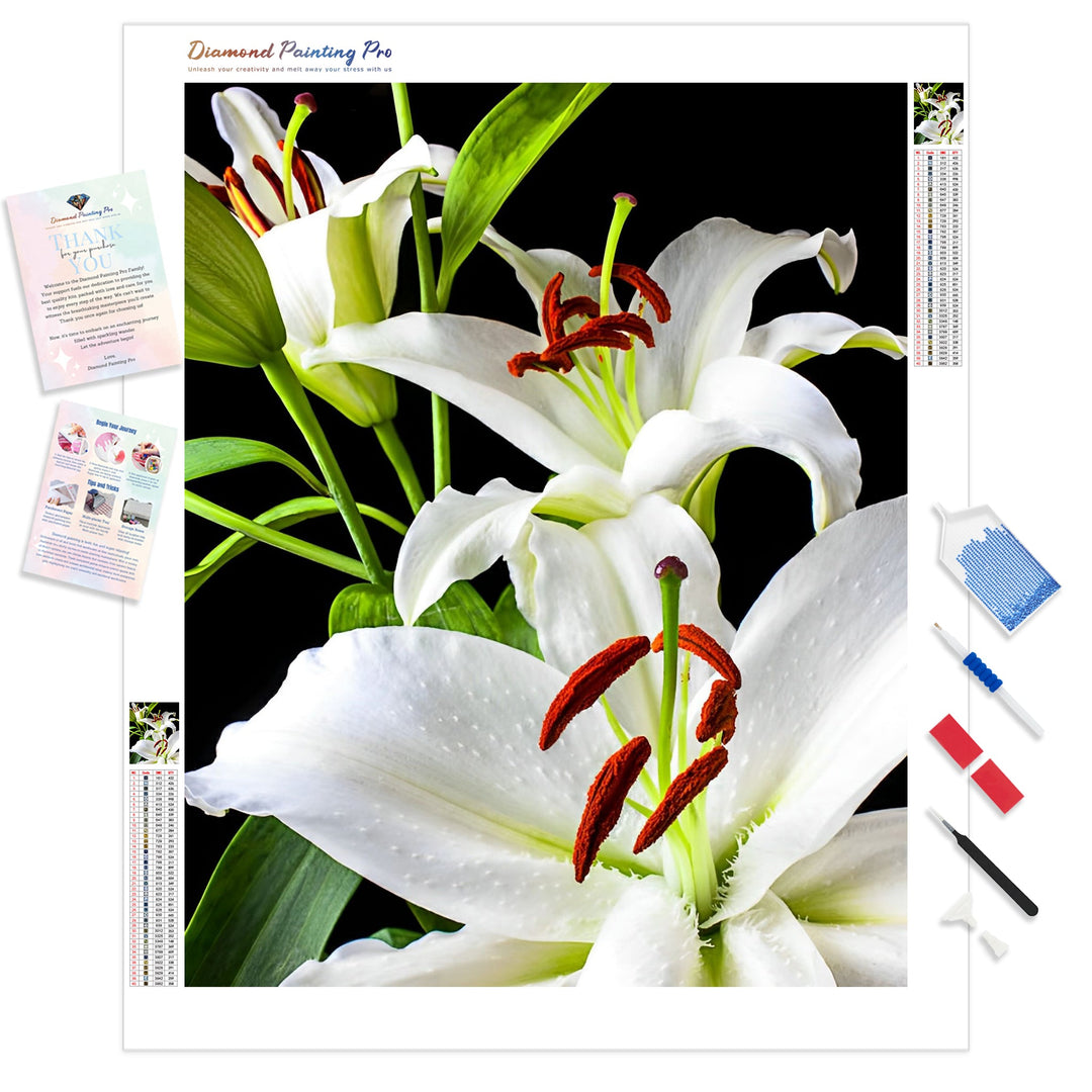 Three White Lilies | Diamond Painting Kit - Full Drill - Square or Round Diamonds with AB Drills Option