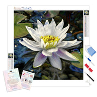 Water lily steph moraca | Diamond Painting