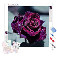 Dark Red Rose | Diamond Painting