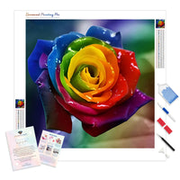 Rainbow Rose | Diamond Painting