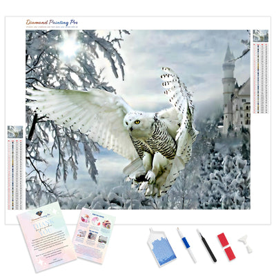 Snowy Owl | Diamond Painting