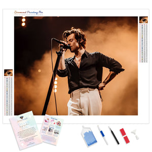 Harry Styles Singing | Diamond Painting