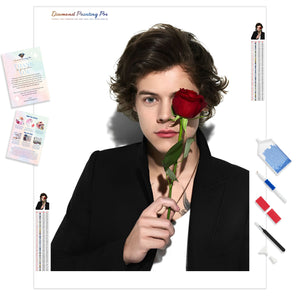 Harry Styles and Rose | Diamond Painting