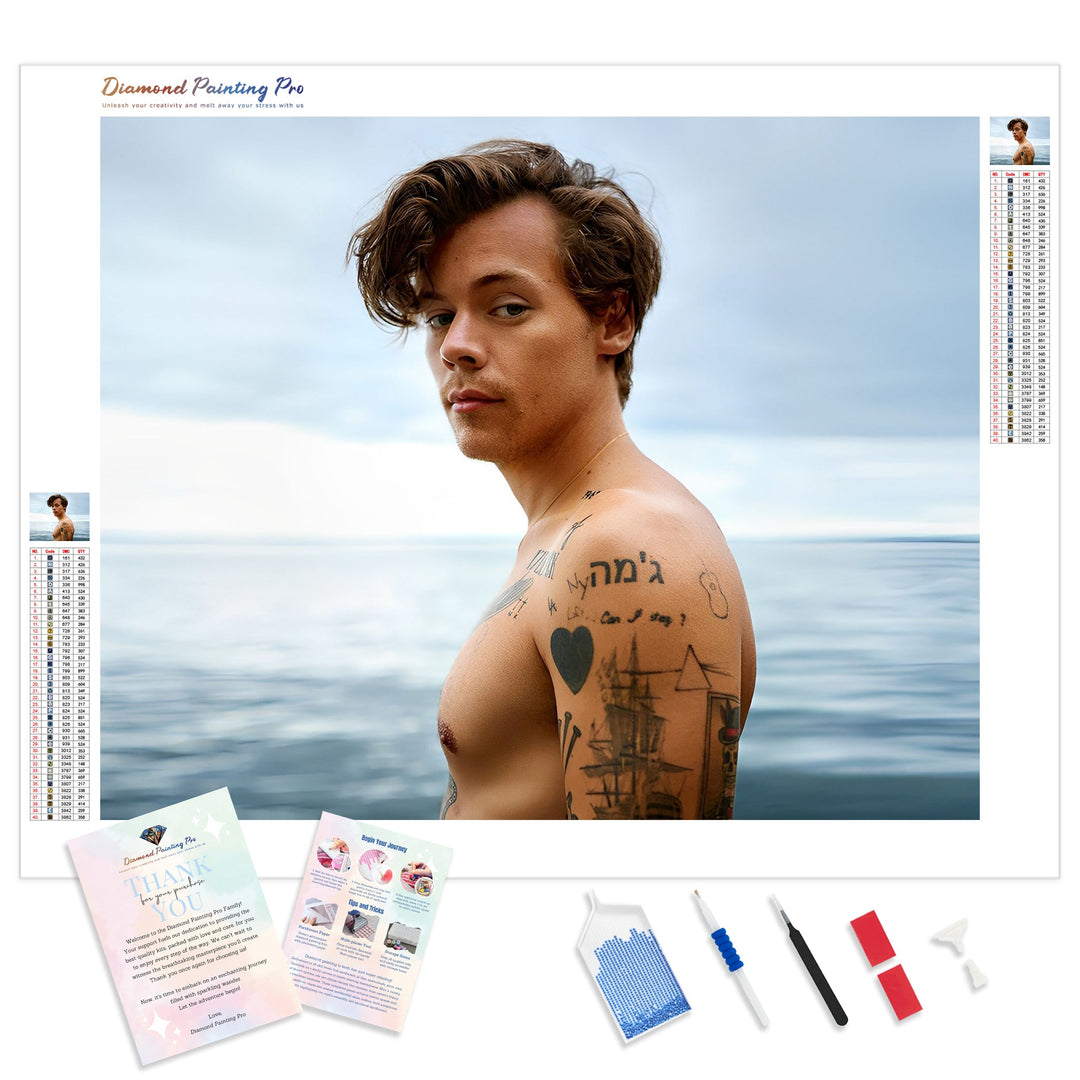 Harry Styles Looking Back | Diamond Painting Kit - Full Drill - Square or Round Diamonds with AB Drills Option