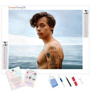 Harry Styles Looking Back | Diamond Painting