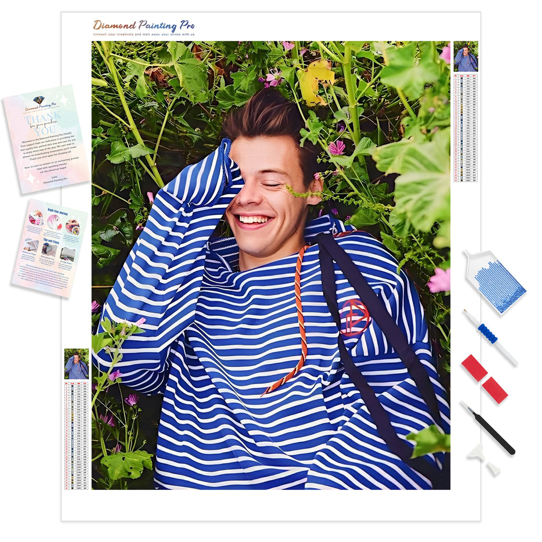 Harry Styles | Diamond Painting