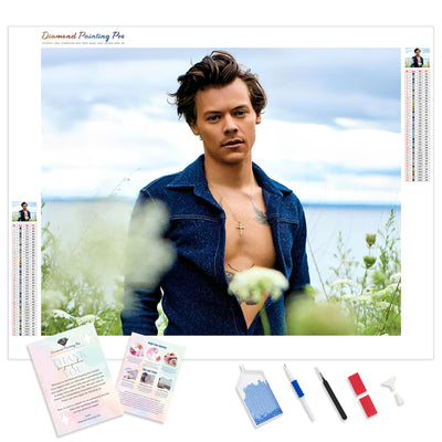 Harry Styles | Diamond Painting