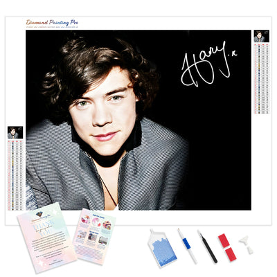 Harry Styles | Diamond Painting