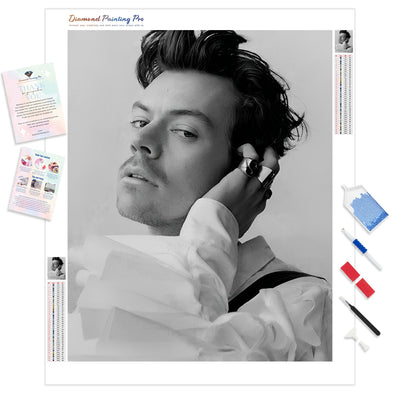 Harry Styles | Diamond Painting