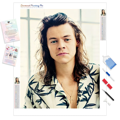 Harry Styles | Diamond Painting