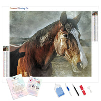 Good Old Horse | Diamond Painting