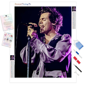 Harry Styles | Diamond Painting