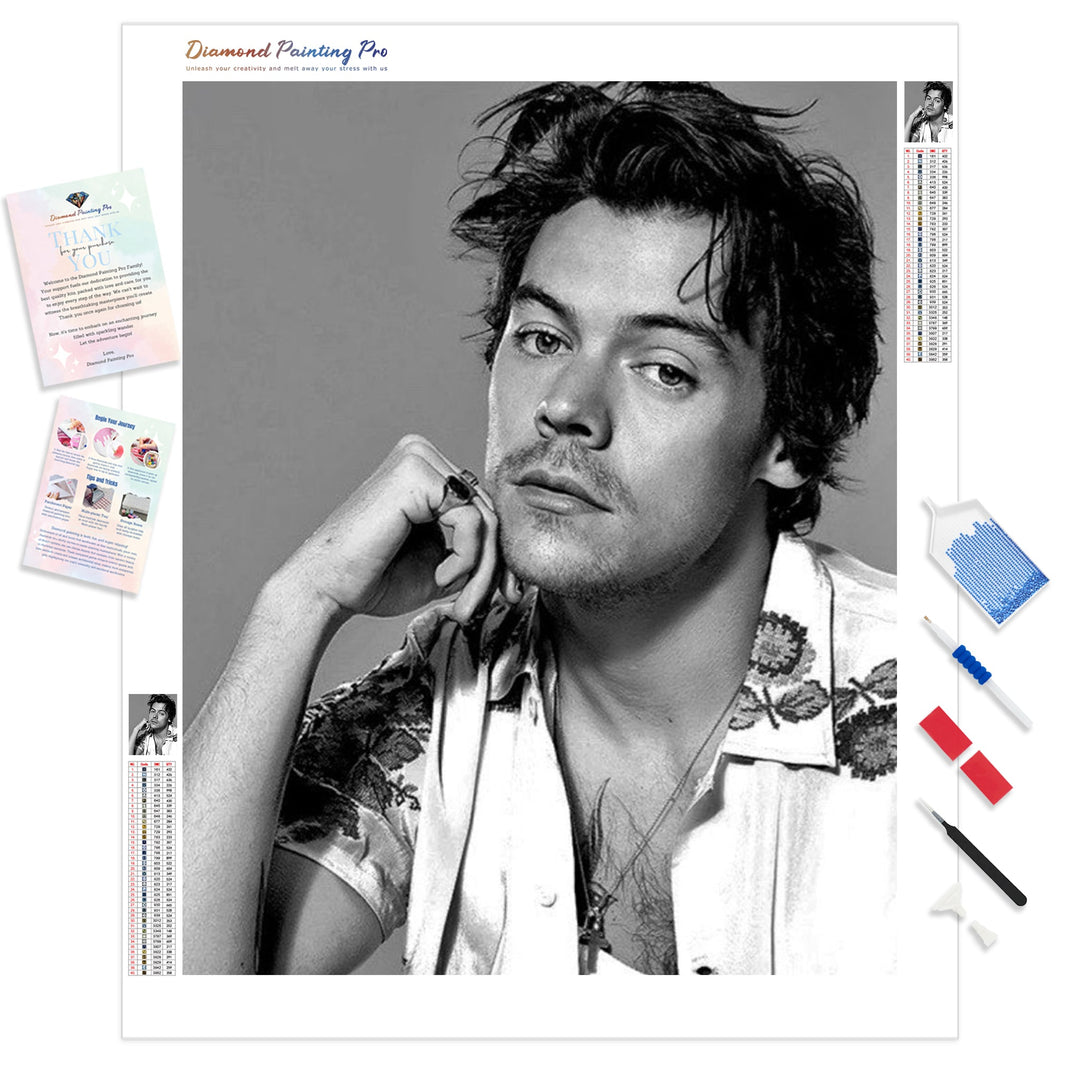 Harry Styles Black and White | Diamond Painting Kit - Full Drill - Square or Round Diamonds with AB Drills Option