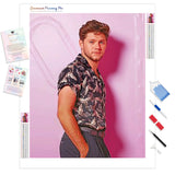 Handsome Niall Horan | Diamond Painting Kit - Full Drill - Square or Round Diamonds with AB Drills Option