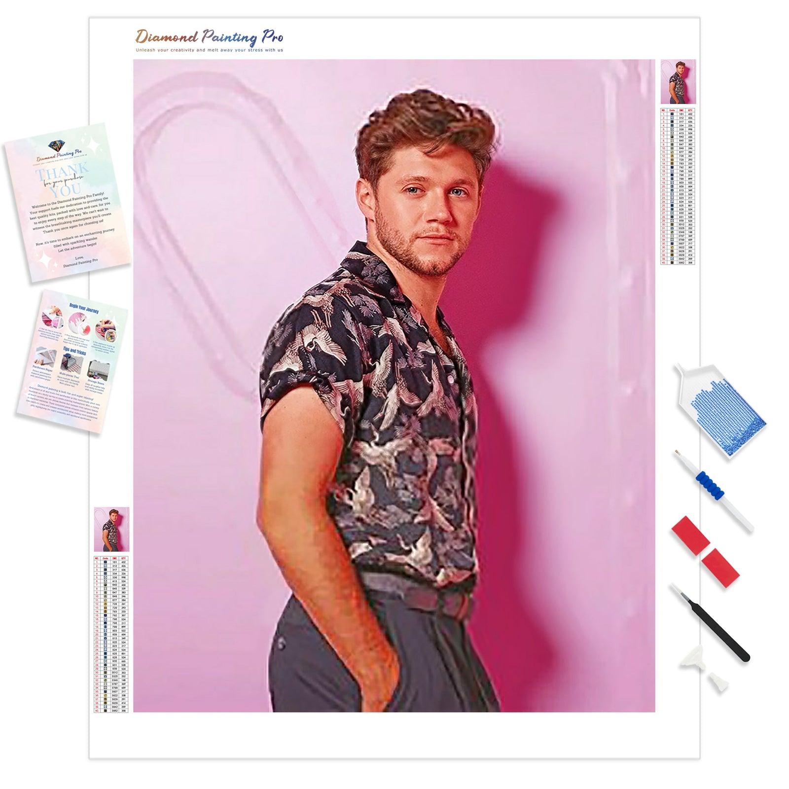 Handsome Niall Horan | Diamond Painting Kit - Full Drill - Square or Round Diamonds with AB Drills Option