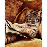 Cat Reading Time | Diamond Painting Design - Full Drill Diamond Art with 5d Square or Round Diamonds - AB Drills Available