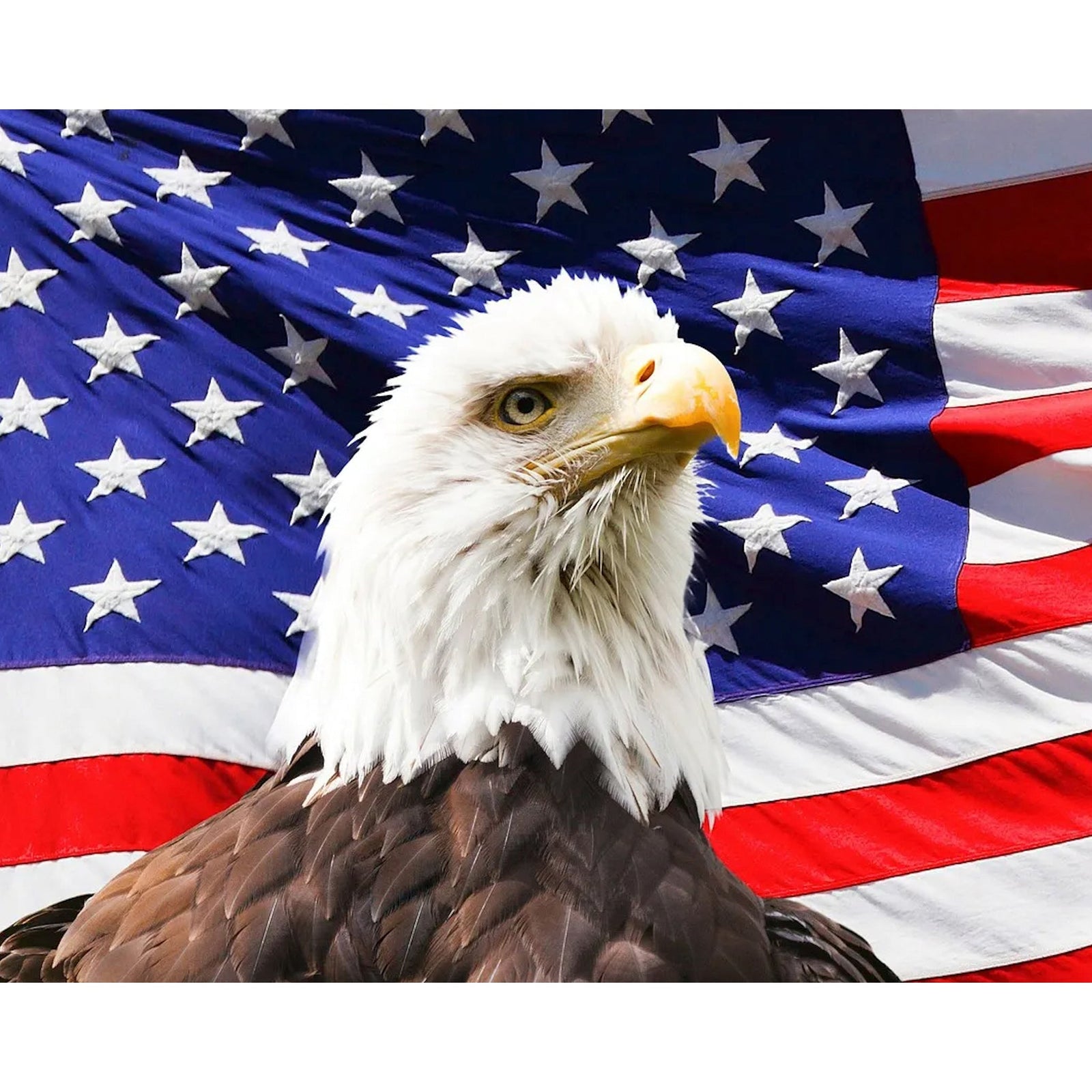 American Eagle and Flag | Diamond Painting Design - Full Drill Diamond Art with 5d Square or Round Diamonds - AB Drills Available