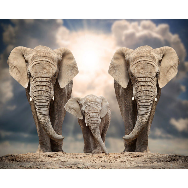 Elephant Family Under the Sun | Diamond Painting