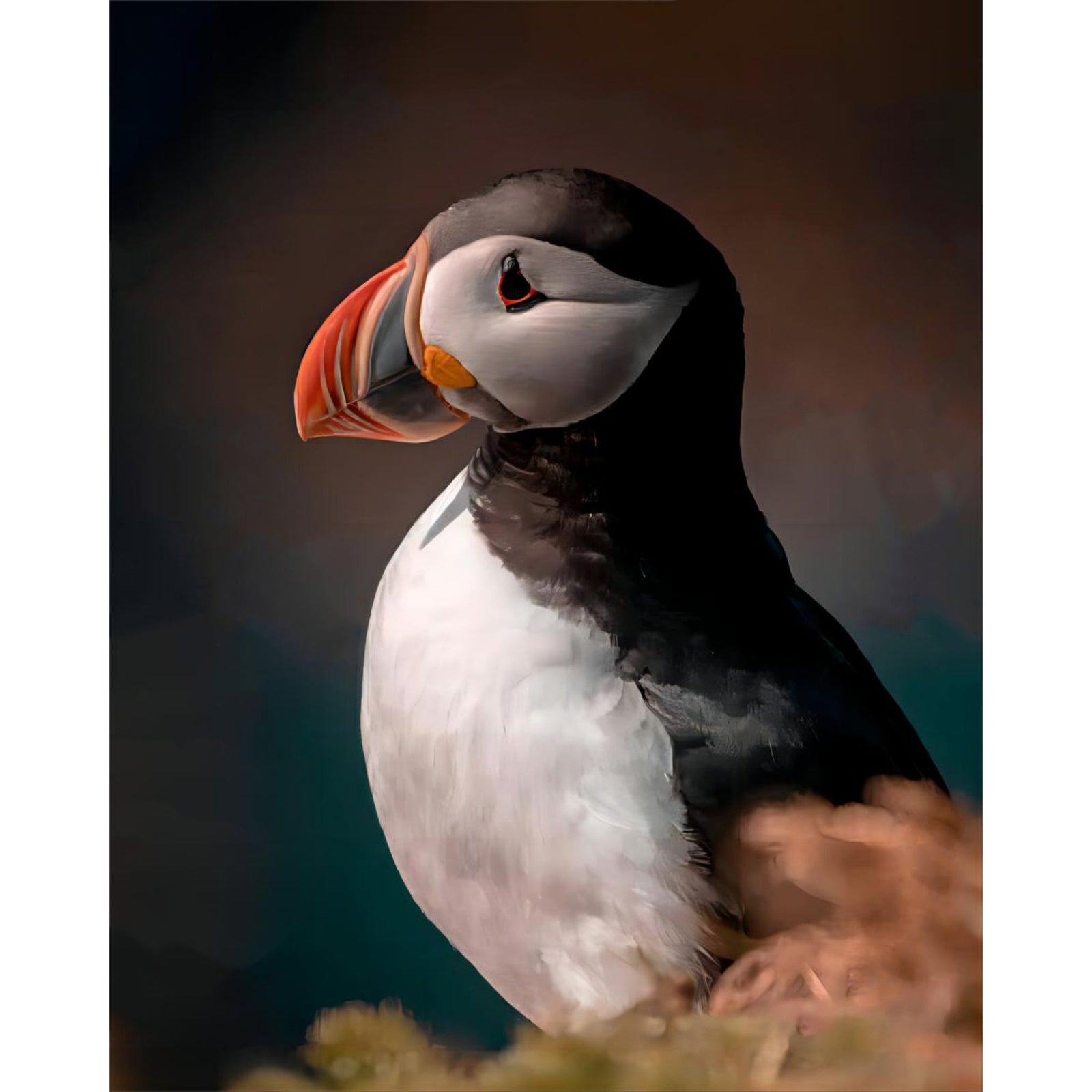 Puffin | Diamond Painting Design - Full Drill Diamond Art with 5d Square or Round Diamonds - AB Drills Available