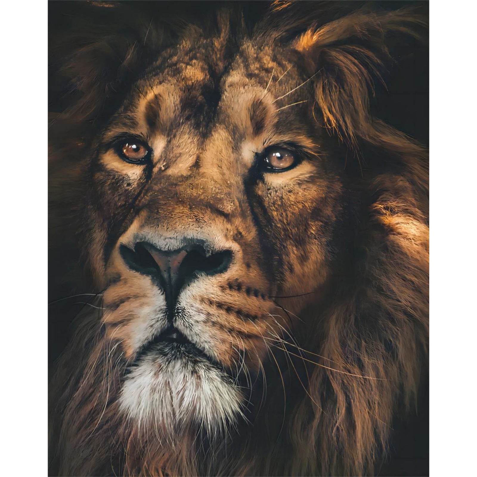 Brown Lion with White Eyes | Diamond Painting Design - Full Drill Diamond Art with 5d Square or Round Diamonds - AB Drills Available