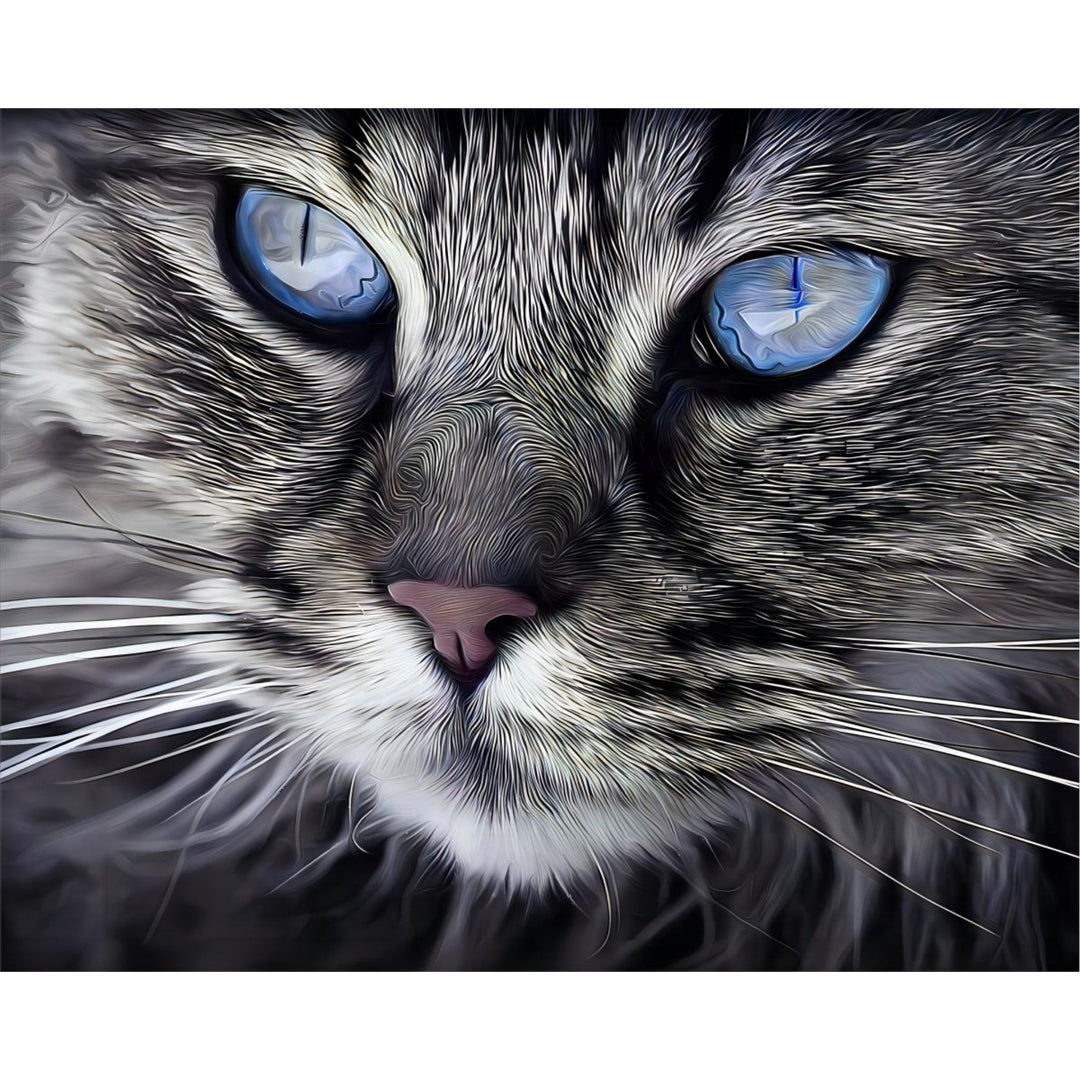 Cat's Eyes | Diamond Painting