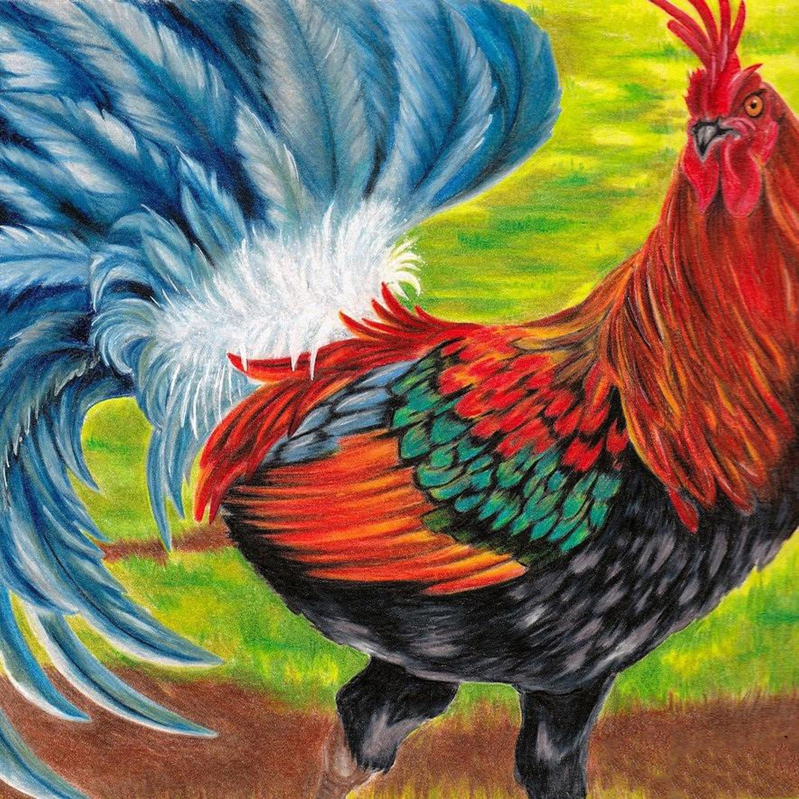 Rooster drawing | Diamond Painting Design - Full Drill Diamond Art with 5d Square or Round Diamonds - AB Drills Available