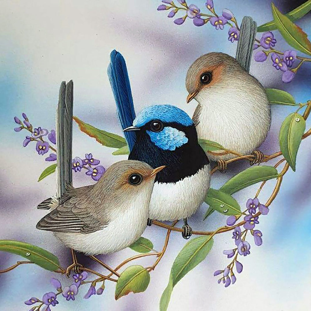 Wrens & Hardenbergia | Diamond Painting