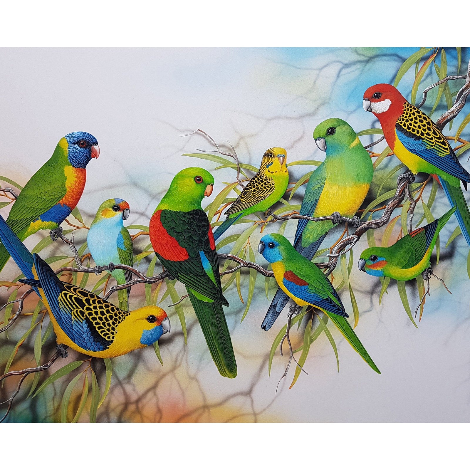 Australian Parrots | Diamond Painting Design - Full Drill Diamond Art with 5d Square or Round Diamonds - AB Drills Available