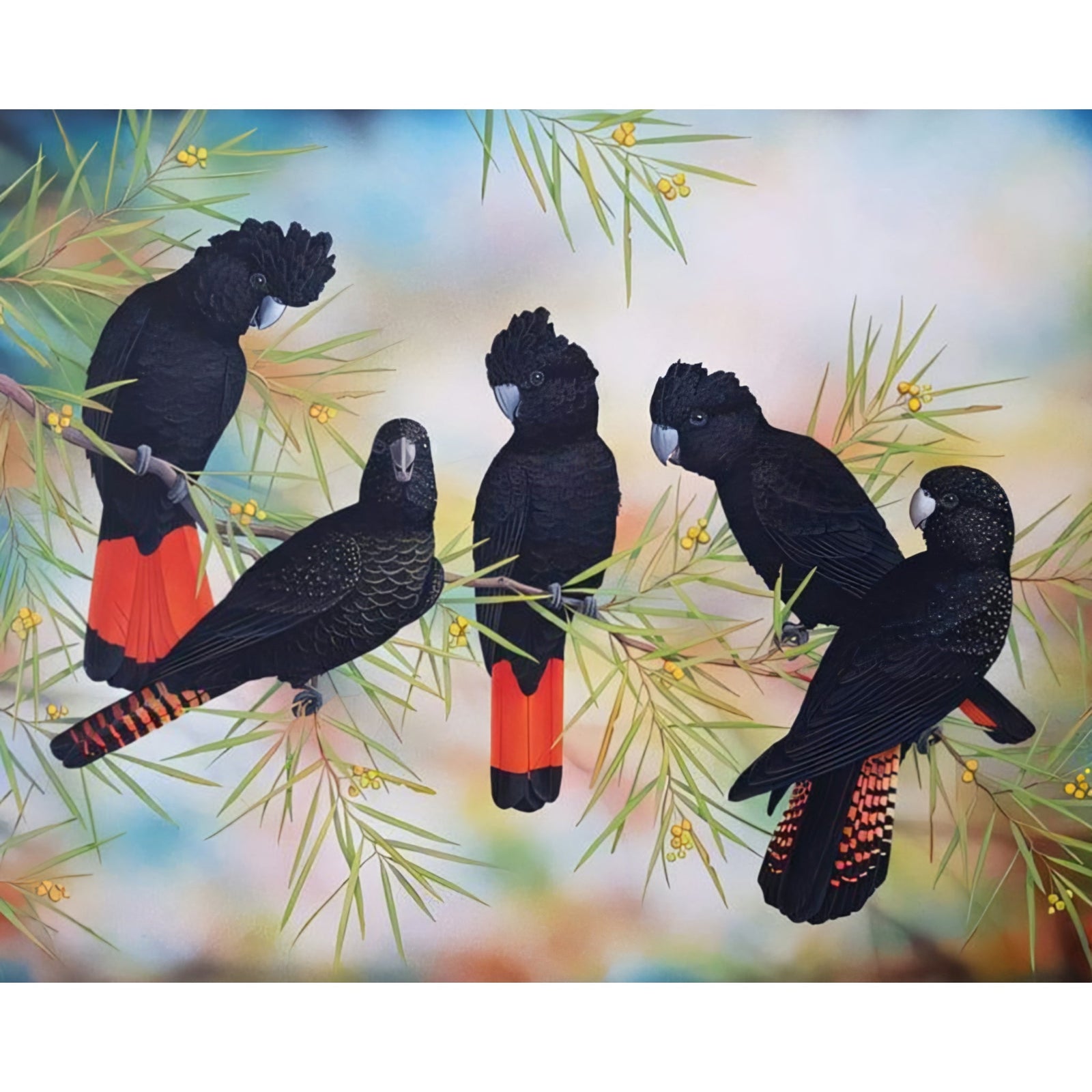 Black Cockatoos | Diamond Painting Design - Full Drill Diamond Art with 5d Square or Round Diamonds - AB Drills Available