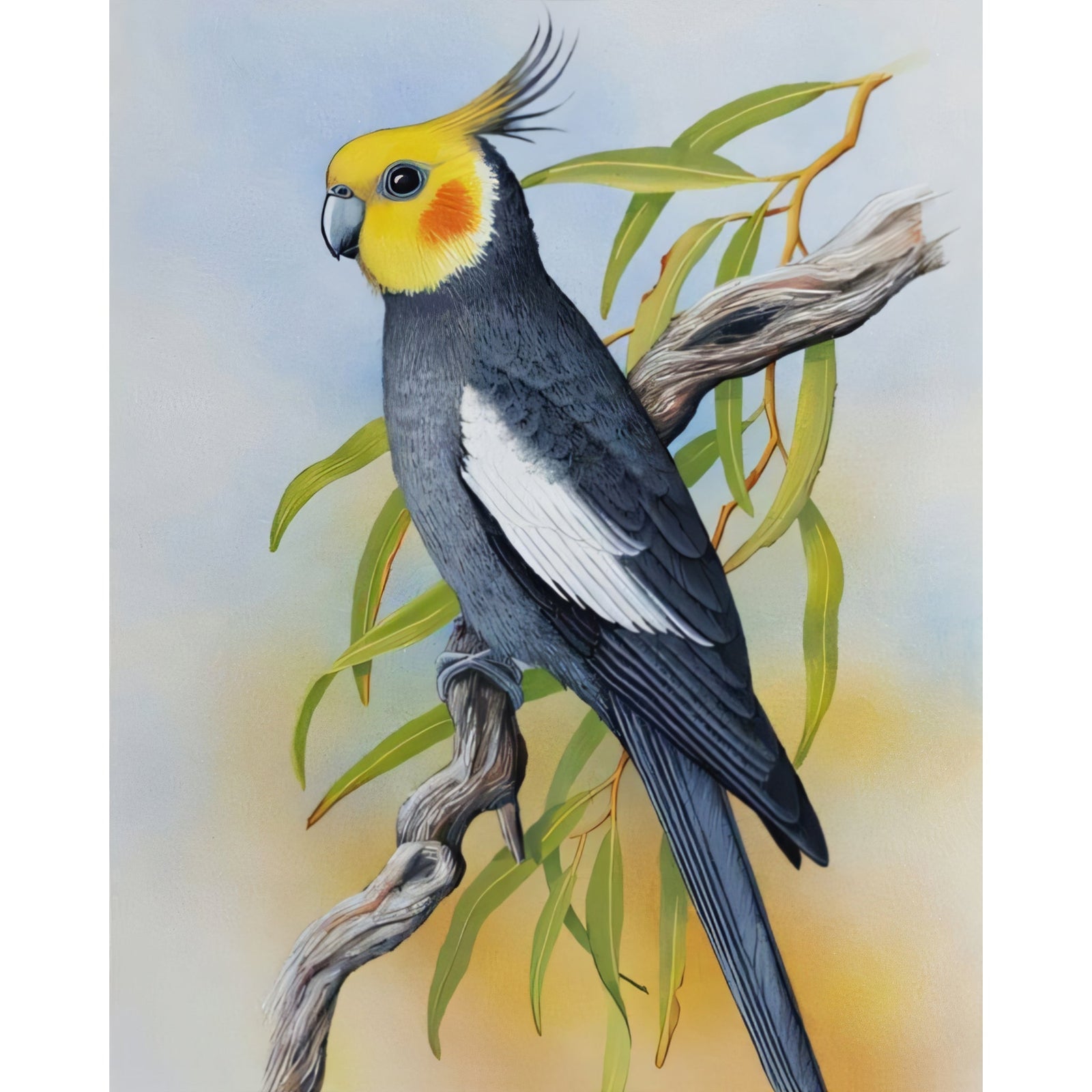 Cockatiel | Diamond Painting Design - Full Drill Diamond Art with 5d Square or Round Diamonds - AB Drills Available