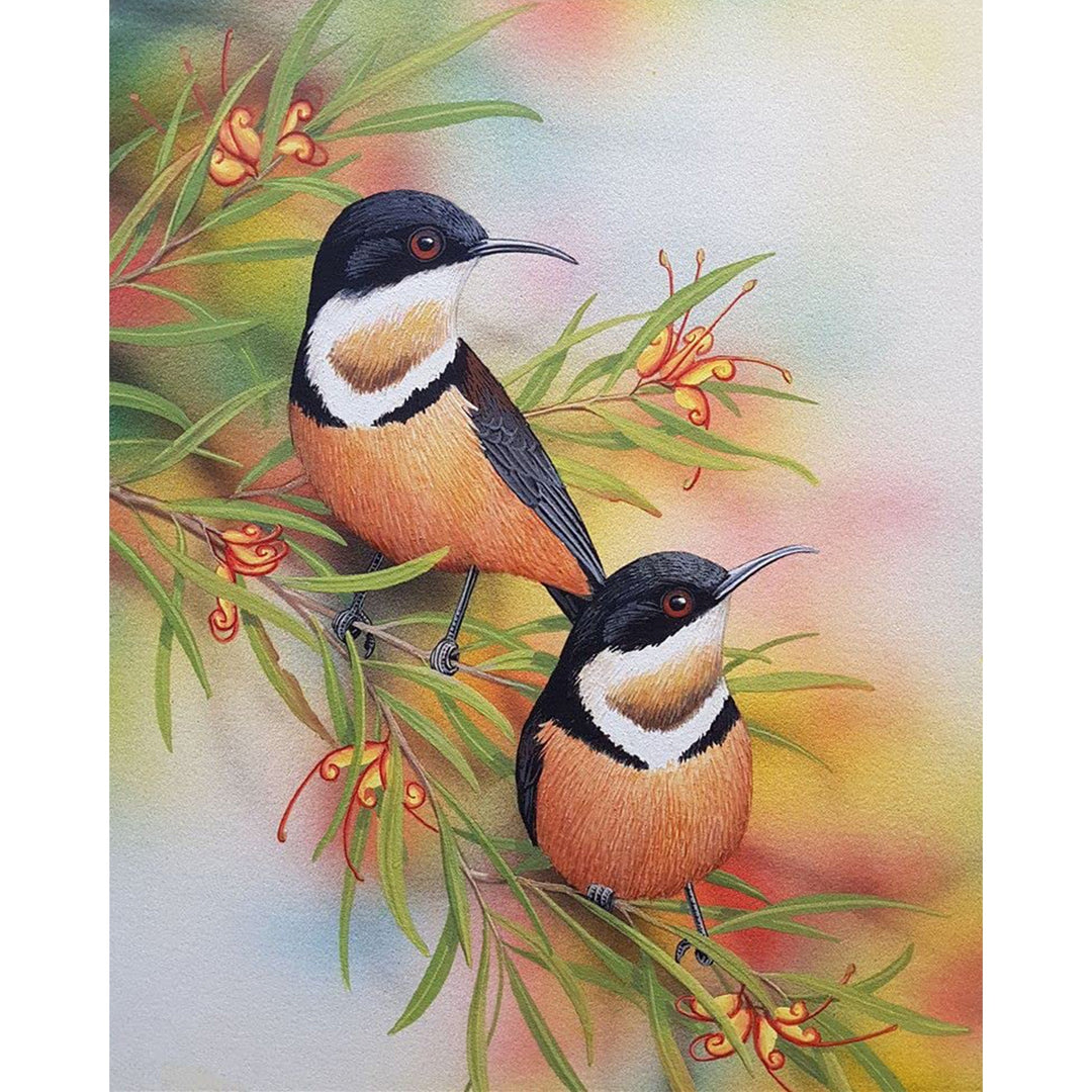 Eastern Spinebills | Diamond Painting