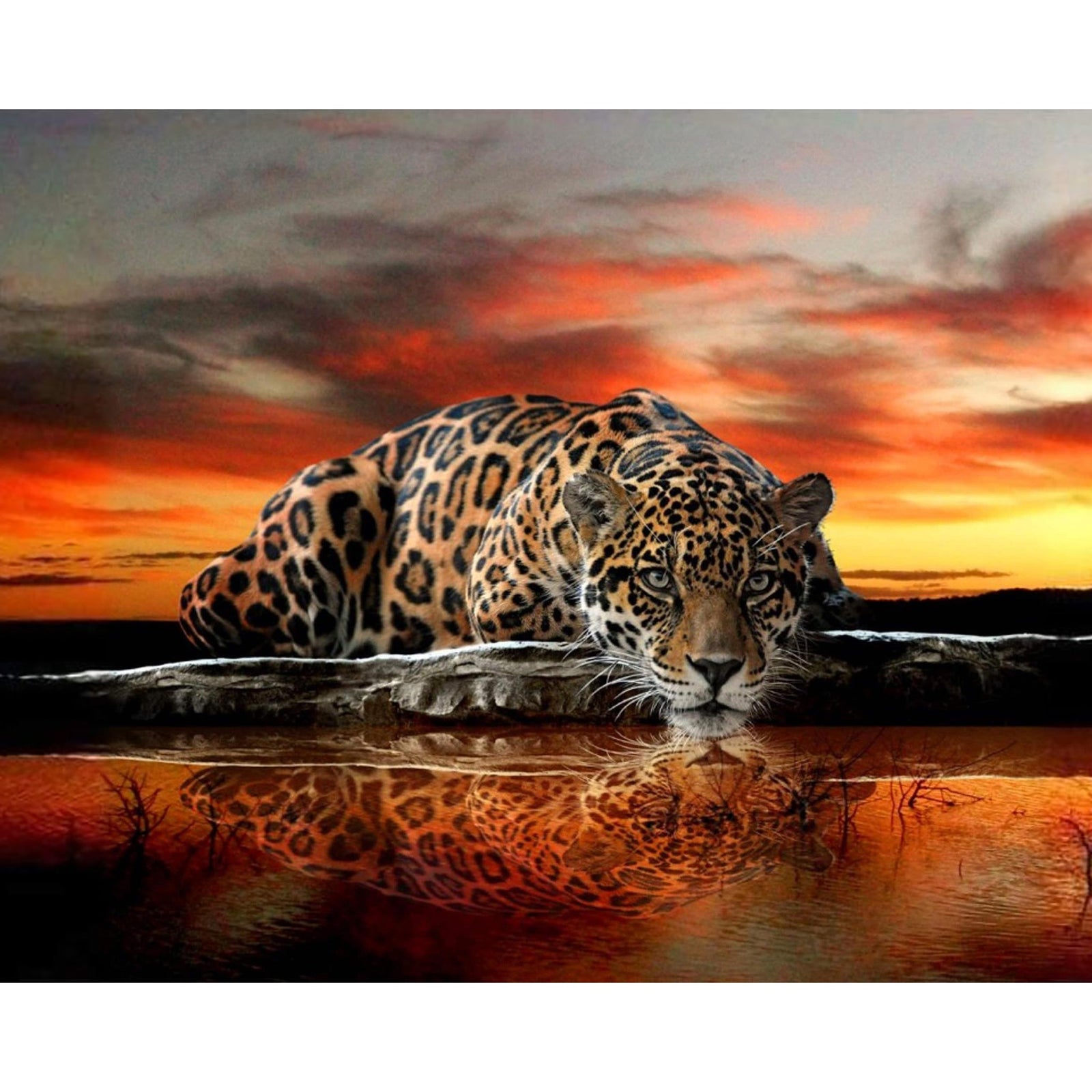 Sunset And Lakeside Leopard | Diamond Painting Design - Full Drill Diamond Art with 5d Square or Round Diamonds - AB Drills Available