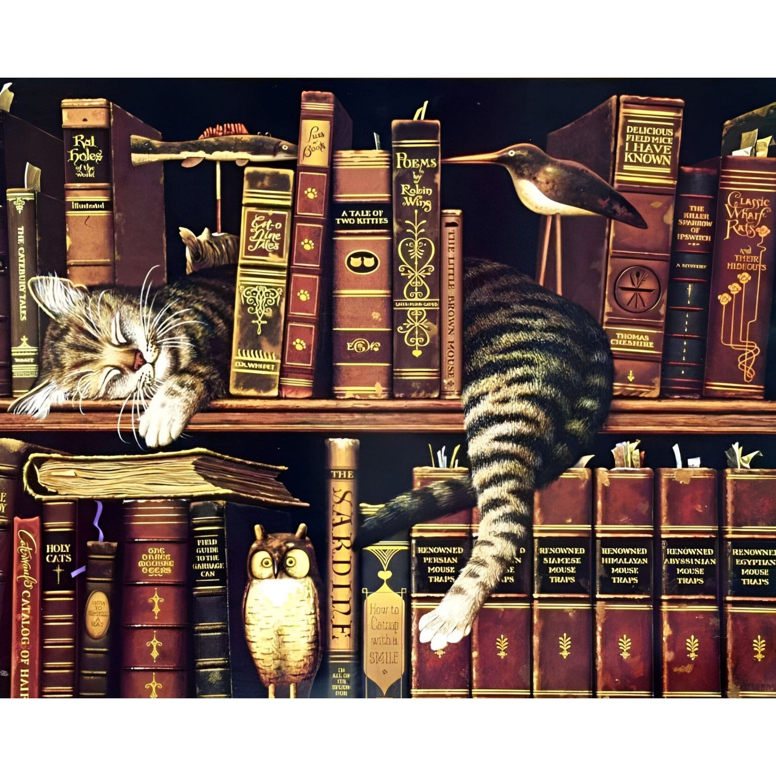 The Cat Sleeping On Shelf | Diamond Painting Design - Full Drill Diamond Art with 5d Square or Round Diamonds - AB Drills Available