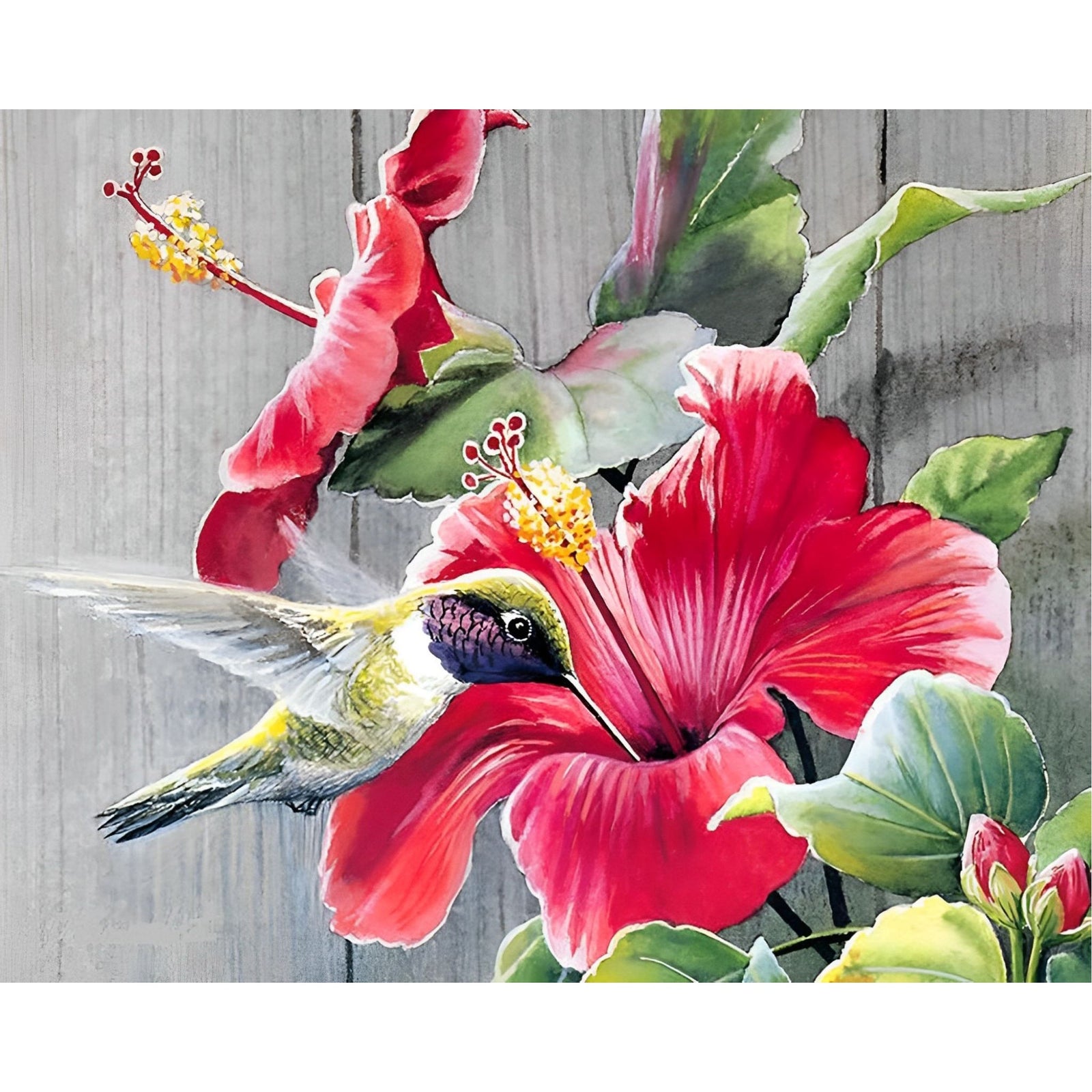 Hummingbird Amongst Flowers | Diamond Painting Design - Full Drill Diamond Art with 5d Square or Round Diamonds - AB Drills Available