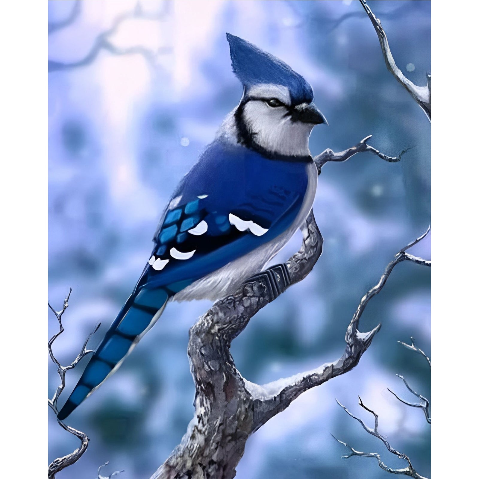 Bird Blue Jay | Diamond Painting Design - Full Drill Diamond Art with 5d Square or Round Diamonds - AB Drills Available