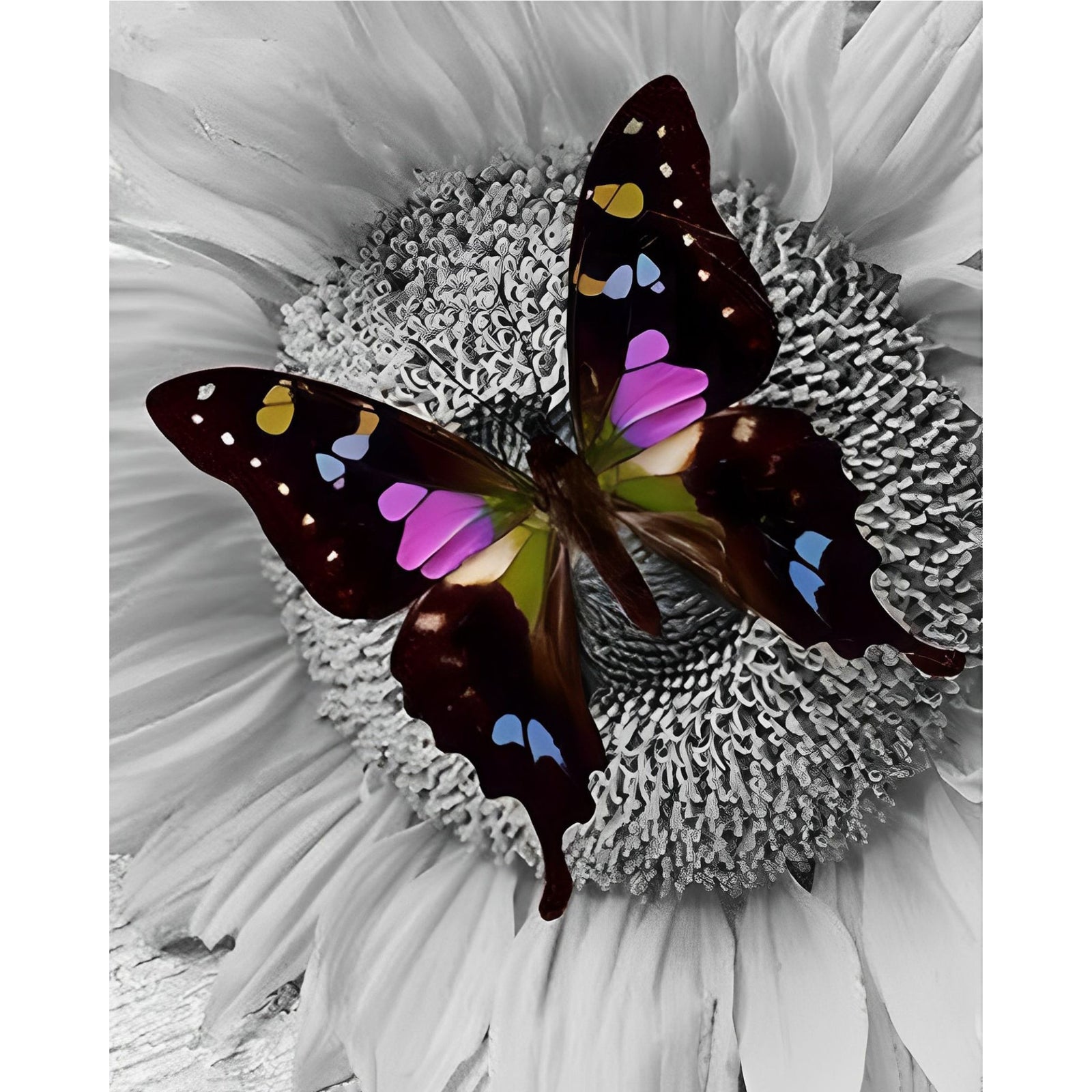 Butterfly on Sunflower | Diamond Painting Design - Full Drill Diamond Art with 5d Square or Round Diamonds - AB Drills Available