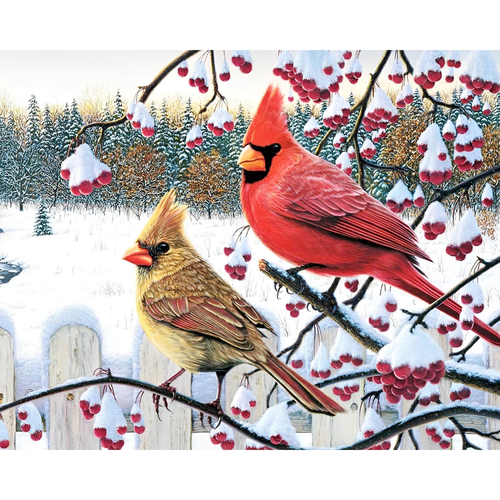 Cardinal Birds on Berry Branch | Diamond Painting Design - Full Drill Diamond Art with 5d Square or Round Diamonds - AB Drills Available