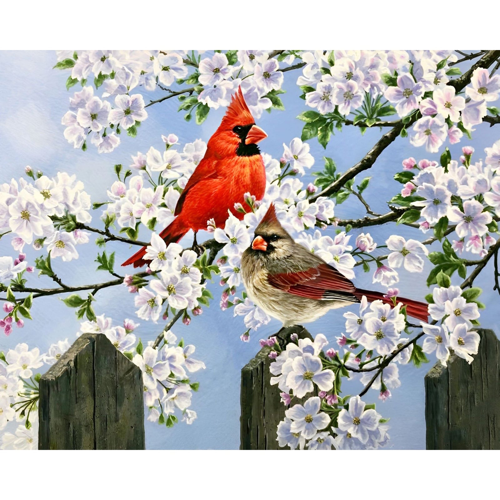 Cardinal Bird Couple | Diamond Painting Design - Full Drill Diamond Art with 5d Square or Round Diamonds - AB Drills Available