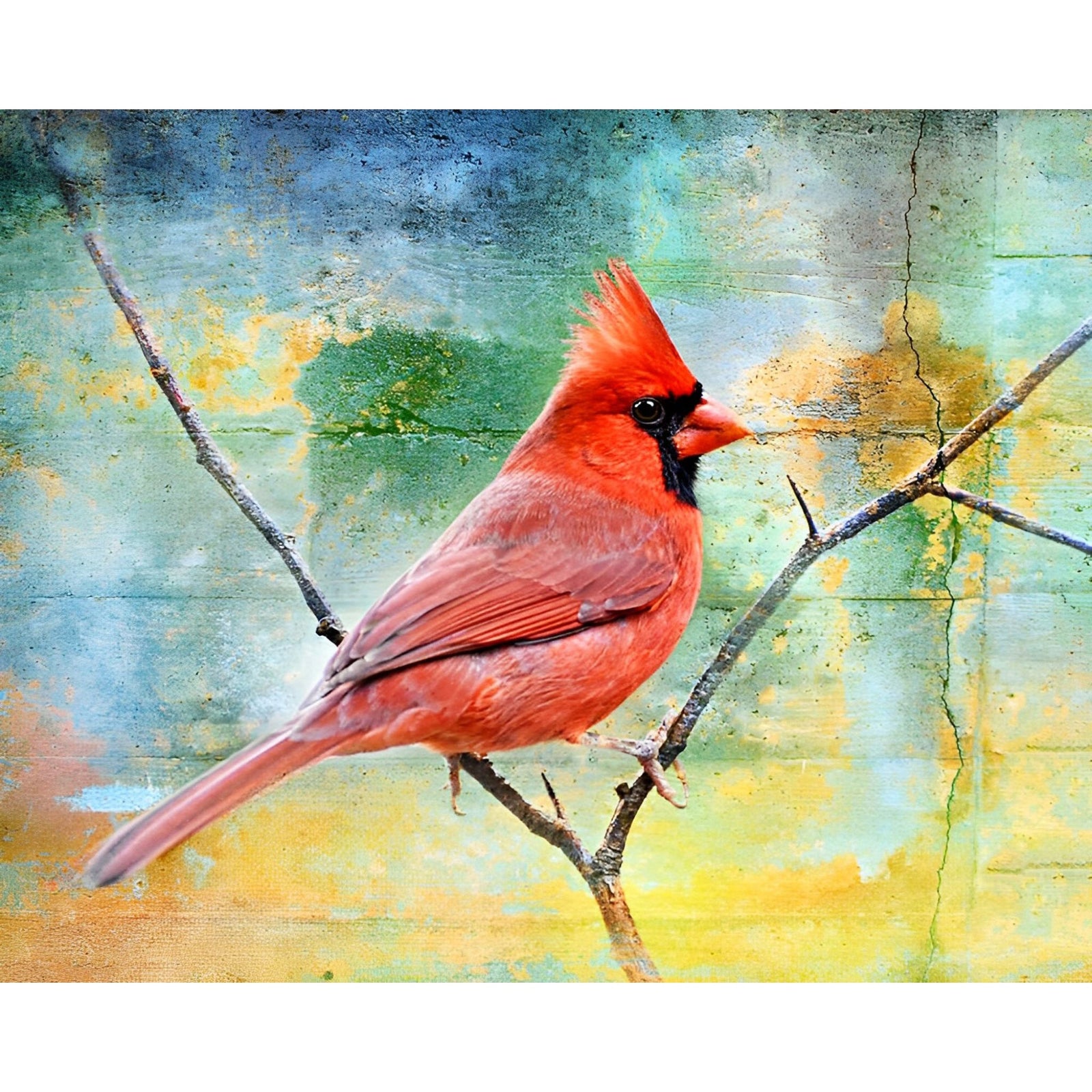 Northern Cardinal Resting | Diamond Painting Design - Full Drill Diamond Art with 5d Square or Round Diamonds - AB Drills Available