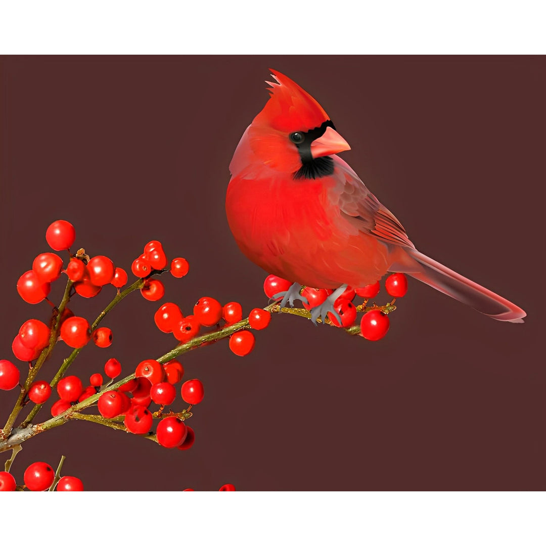 Northern cardinal | Diamond Painting