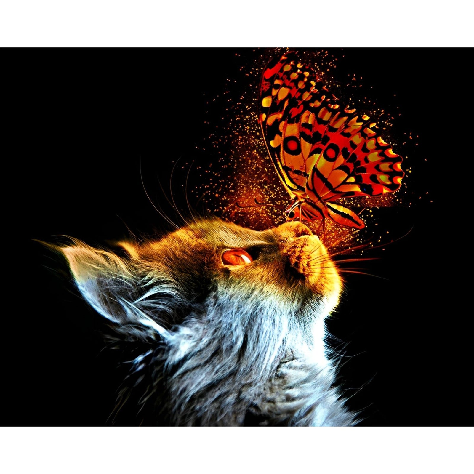 Cat and Blazing Butterfly | Diamond Painting Design - Full Drill Diamond Art with 5d Square or Round Diamonds - AB Drills Available