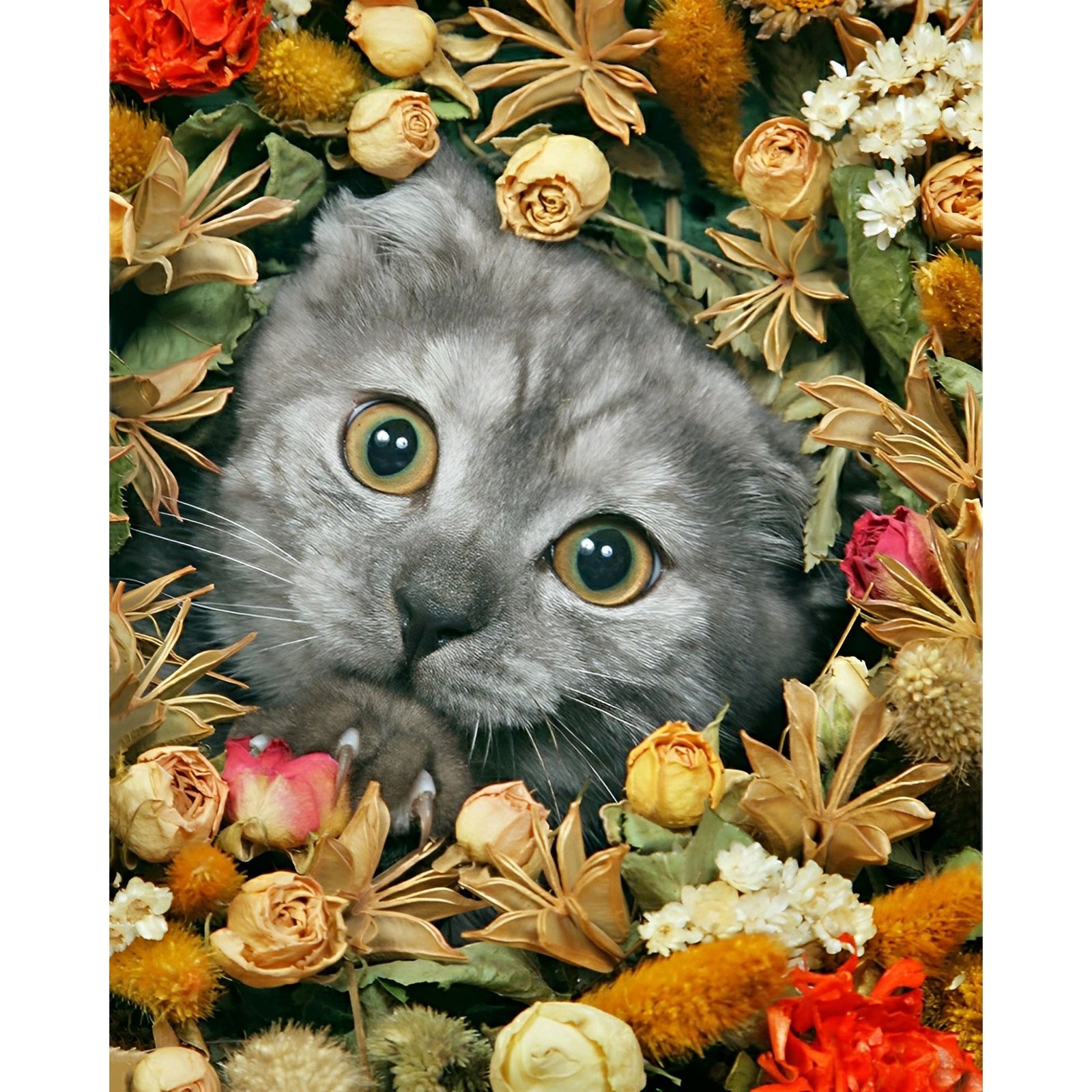 Cats in Flowers | Diamond Painting Design - Full Drill Diamond Art with 5d Square or Round Diamonds - AB Drills Available