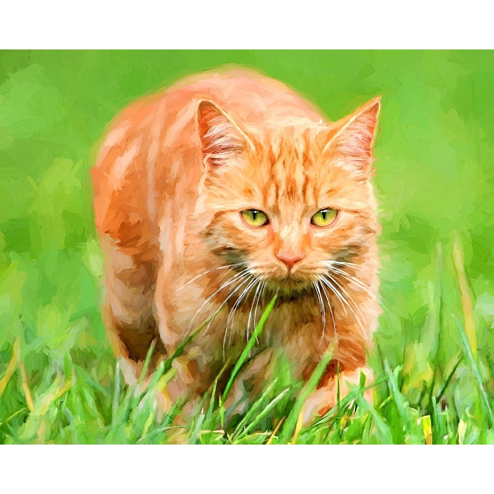 Orange Tabby Cat | Diamond Painting Design - Full Drill Diamond Art with 5d Square or Round Diamonds - AB Drills Available