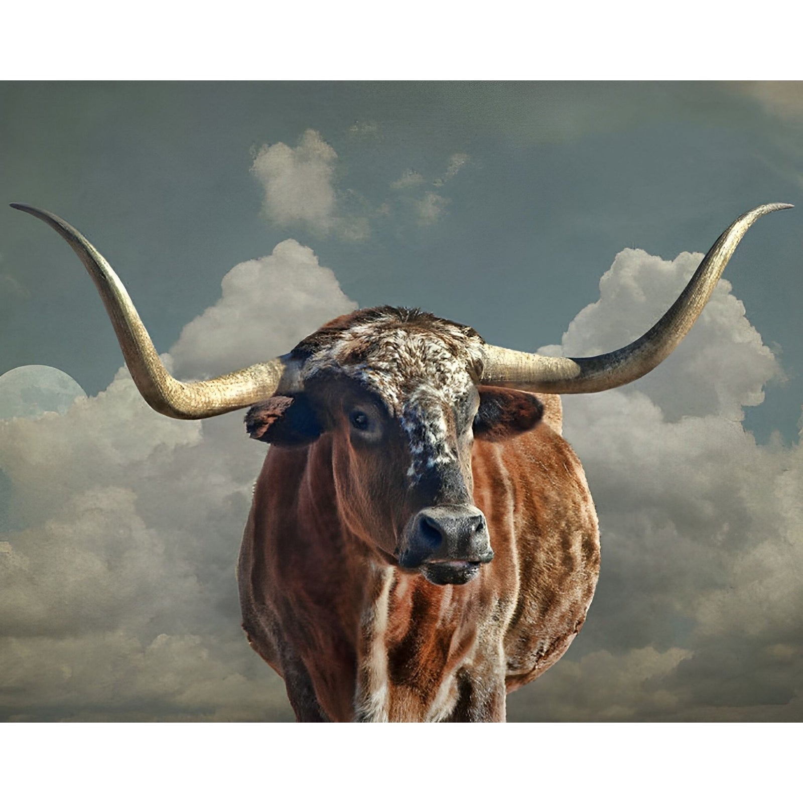 Texas Longhorn Cattle | Diamond Painting Design - Full Drill Diamond Art with 5d Square or Round Diamonds - AB Drills Available