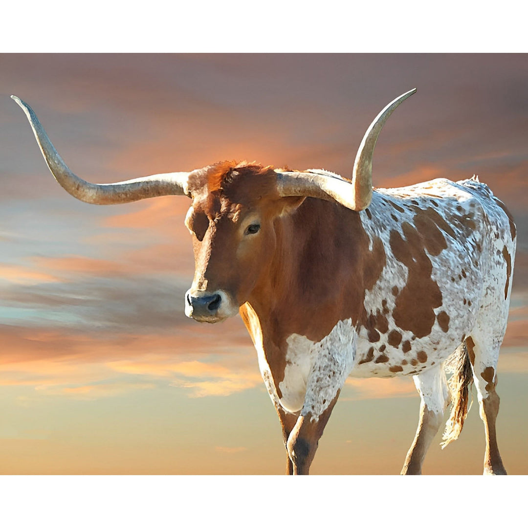 Texas Longhorn Cow | Diamond Painting