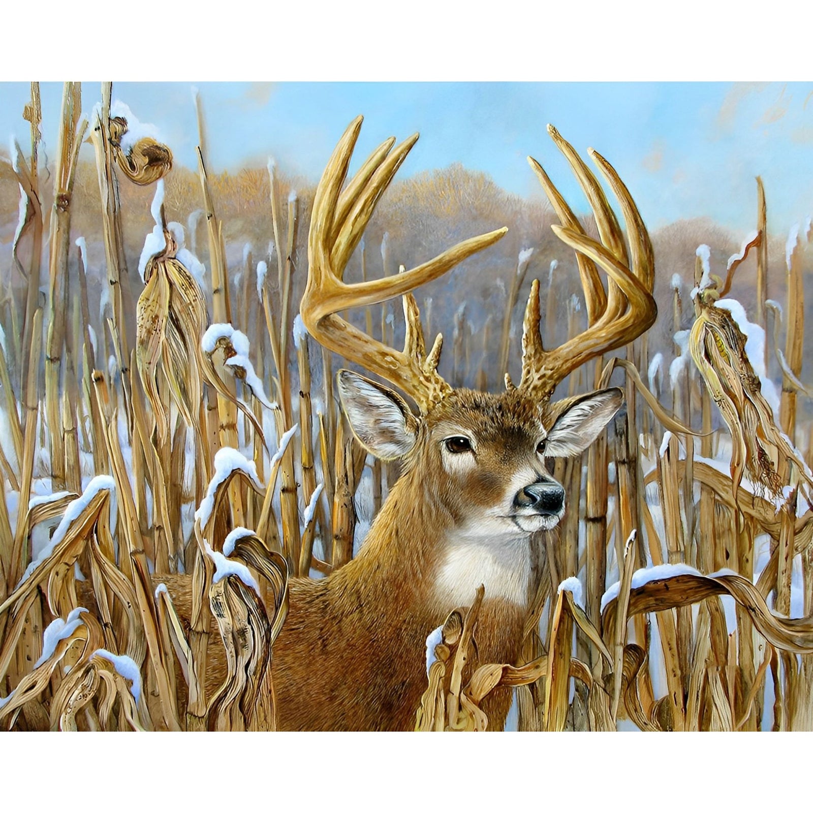 White Tail Deer | Diamond Painting Design - Full Drill Diamond Art with 5d Square or Round Diamonds - AB Drills Available