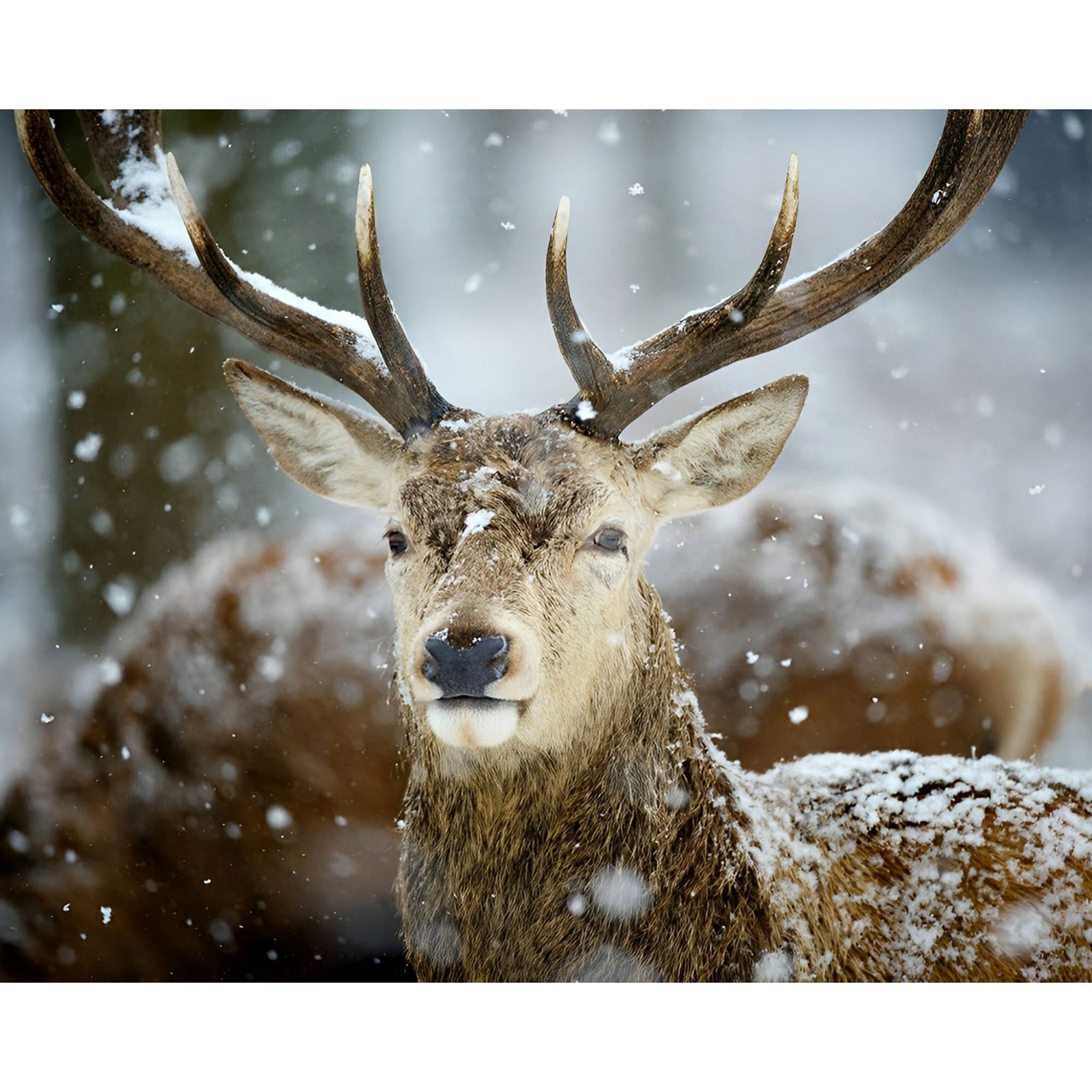 Winter Deer | Diamond Painting Design - Full Drill Diamond Art with 5d Square or Round Diamonds - AB Drills Available