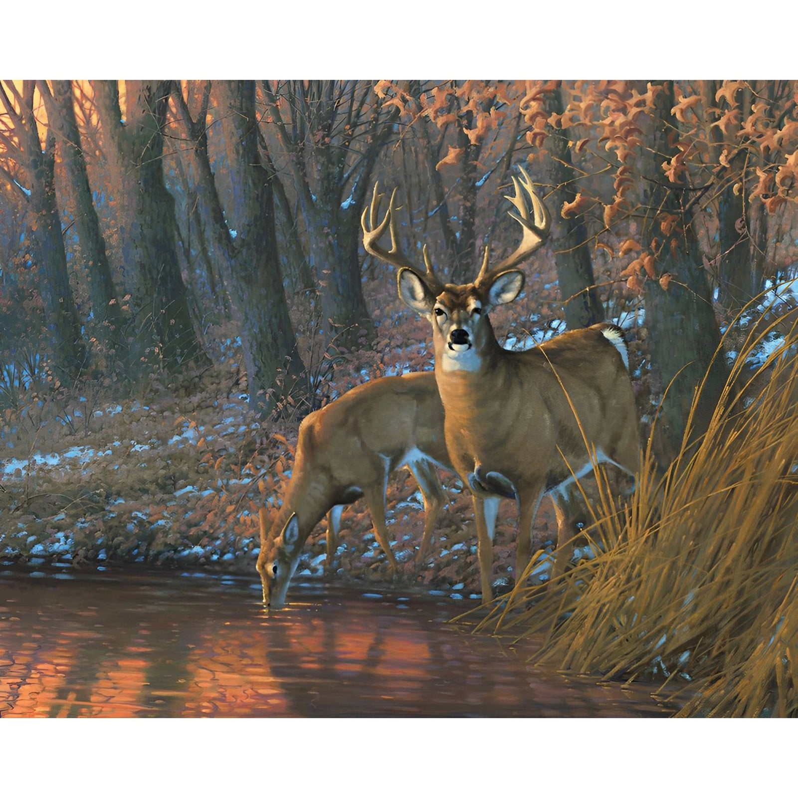 Woodland Waterhole Deer | Diamond Painting Design - Full Drill Diamond Art with 5d Square or Round Diamonds - AB Drills Available