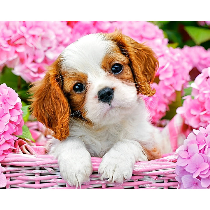 Basket Puppy | Diamond Painting