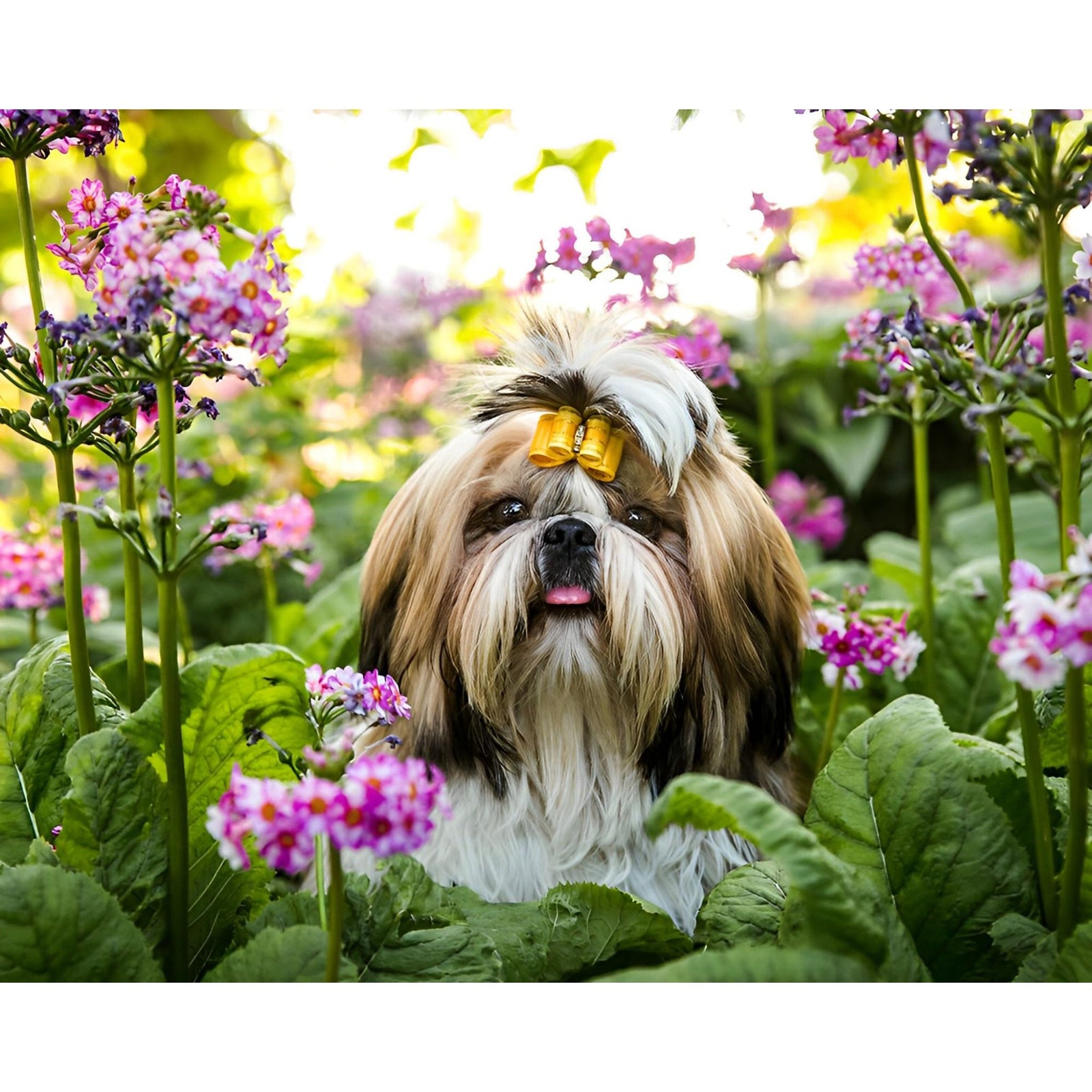 Beta Dog in Spring | Diamond Painting Design - Full Drill Diamond Art with 5d Square or Round Diamonds - AB Drills Available